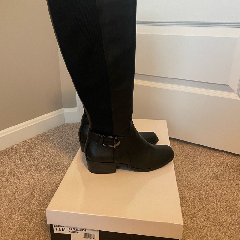 Alfani Boots